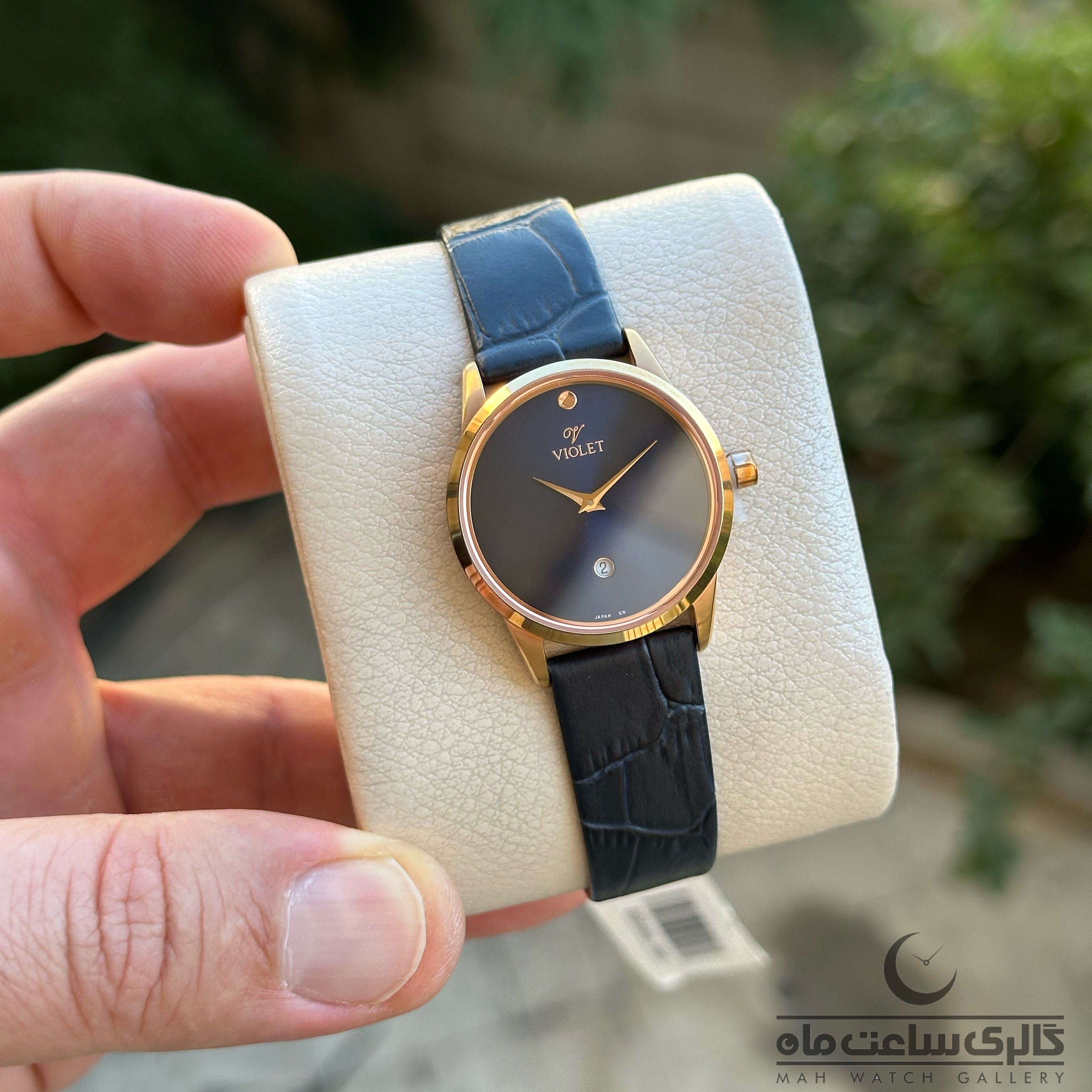 ساعت مچی زنانه ویولت VIOLET B0550L-655
